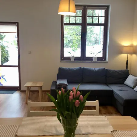 Апартаменты Apartament Pasja - Aprent Шклярска-Поремба